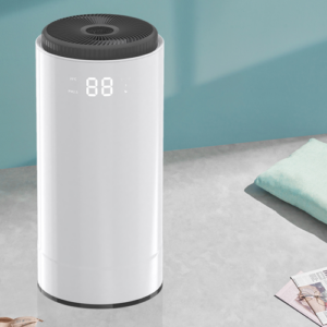 Home Use Air Purifier