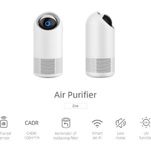 Website displays two Smart WiFi Home Air Purifiers with H13 HEPA & Carbon Filters, eliminating Pollen Dust Odours Smoke.