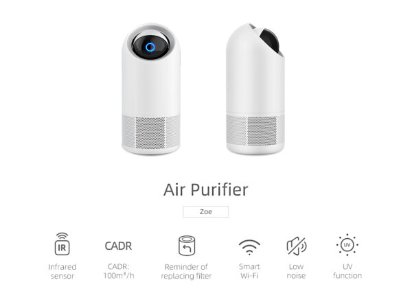 Website displays two Smart WiFi Home Air Purifiers with H13 HEPA & Carbon Filters, eliminating Pollen Dust Odours Smoke.