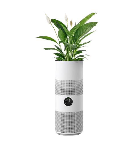 Plant Air Purifier