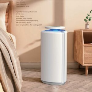 a Home Air Purifier